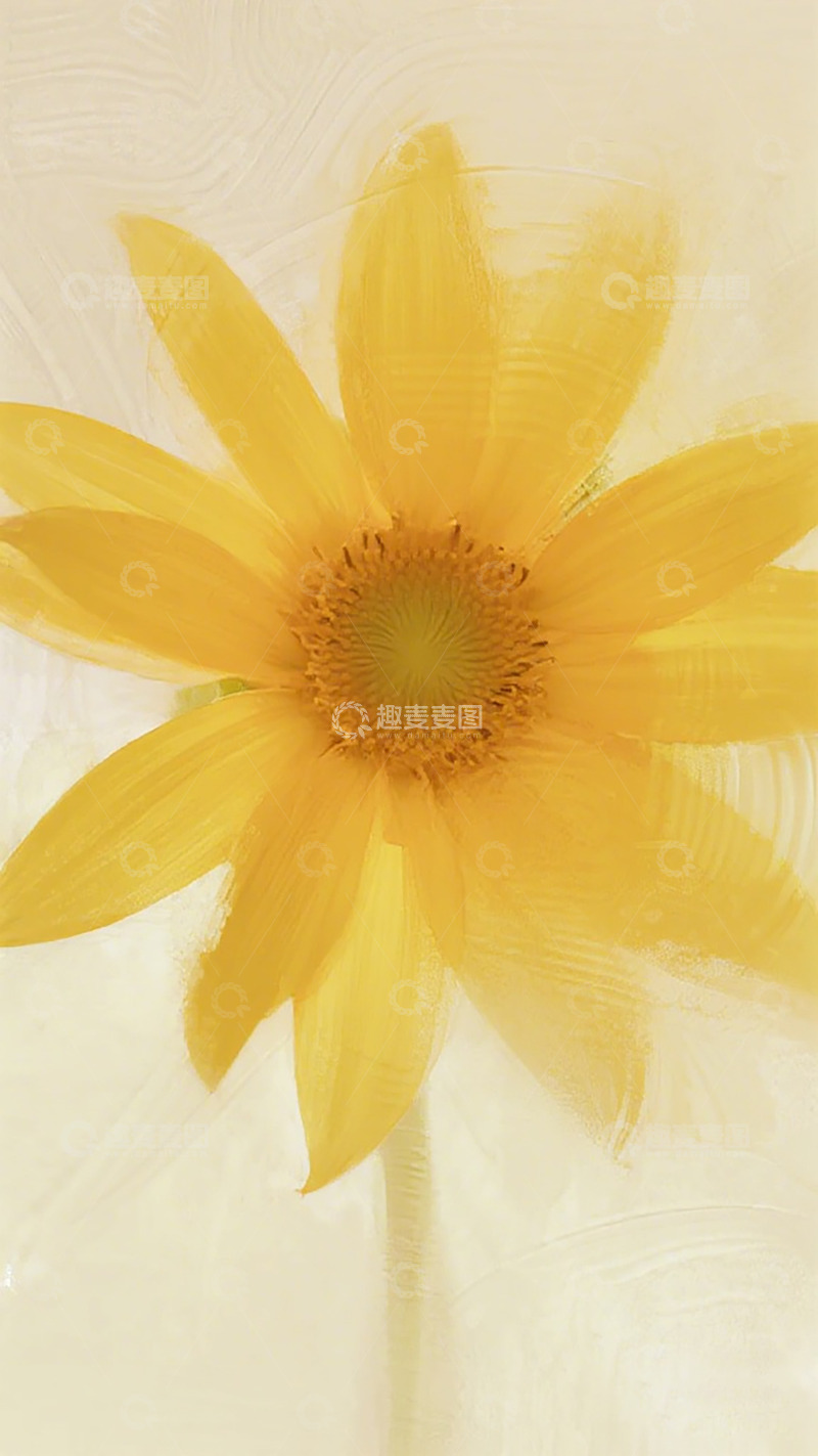 高清大图下载【趣麦麦图】暖色调向日葵特写