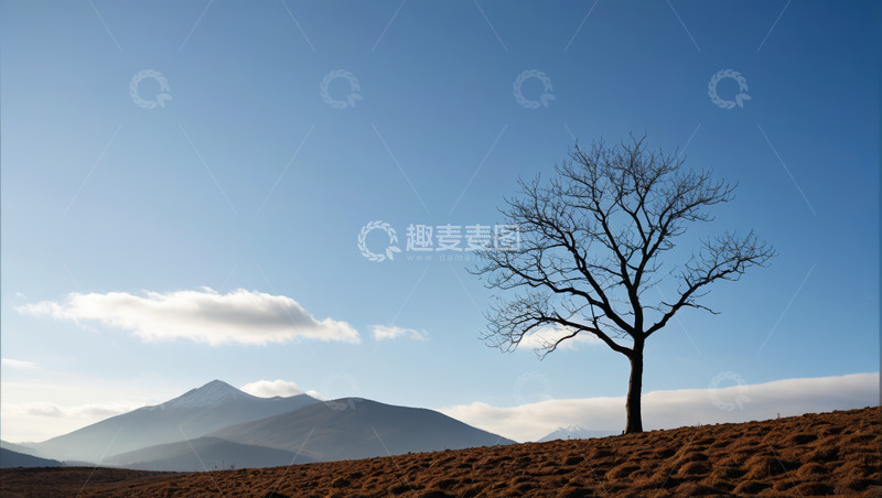 高清大图下载【趣麦麦图】旷野中孤树与远山蓝天景象