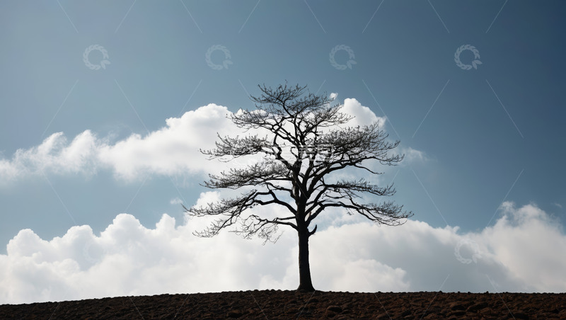 高清大图下载【趣麦麦图】蓝天下孤树立于山丘