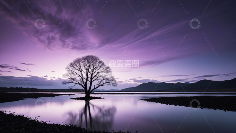 高清大图下载【趣麦麦图】湖畔孤树与梦幻天空景观