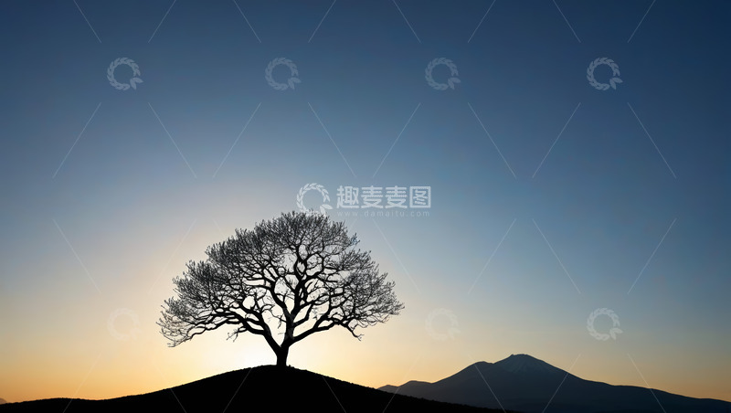高清大图下载【趣麦麦图】日落时分山丘上的孤树与远山
