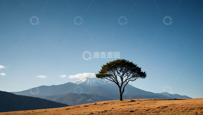 高清大图下载【趣麦麦图】旷野孤树与远山雪山景致
