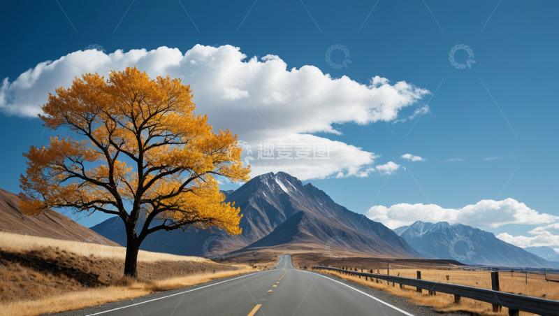 高清大图下载【趣麦麦图】旷野公路旁的金黄树木与远山