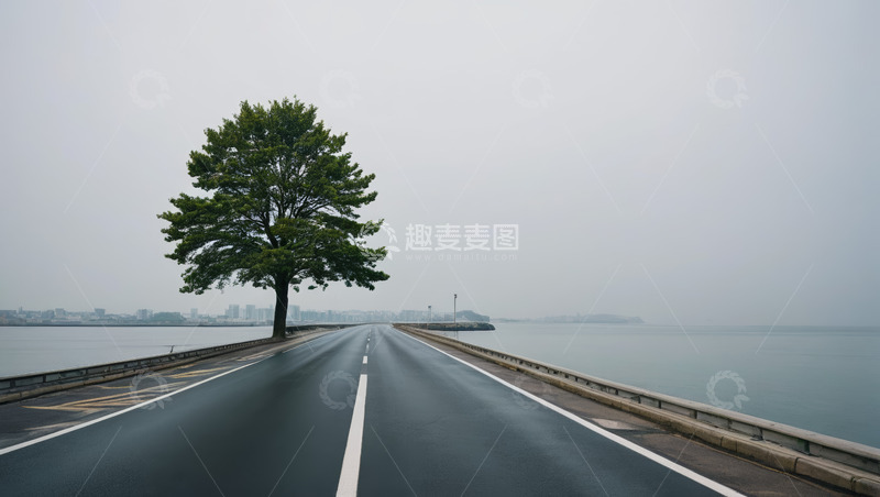 高清大图下载【趣麦麦图】道路旁孤树立于水边