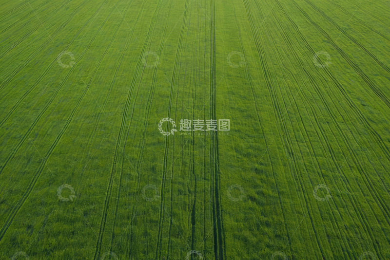 高清大图下载【趣麦麦图】航拍绿色农田全景