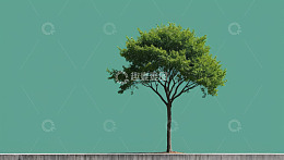 单棵绿树配浅绿背景画面