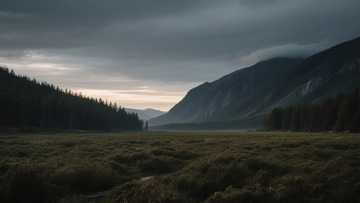 阴郁山谷草原风光摄影