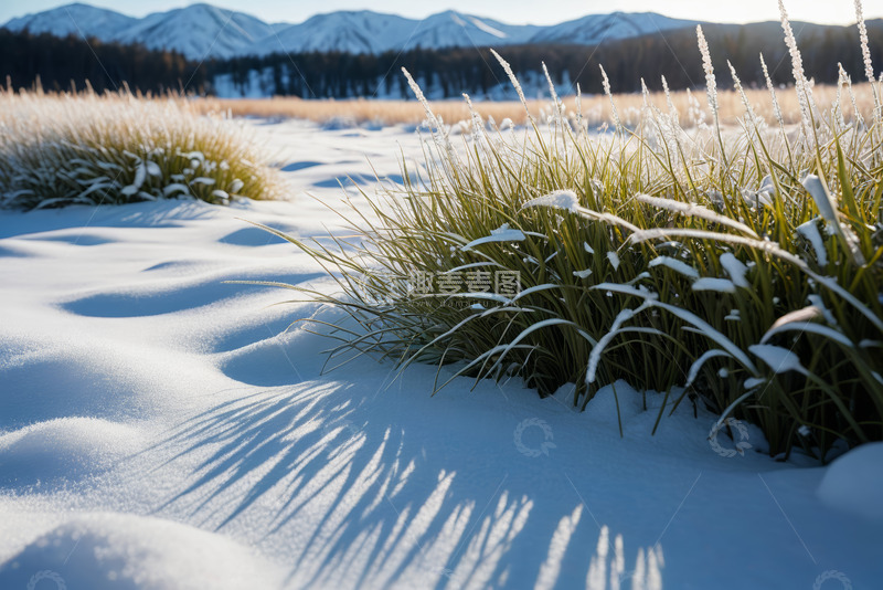 高清大图下载【趣麦麦图】雪地中覆雪的草丛与远山景观