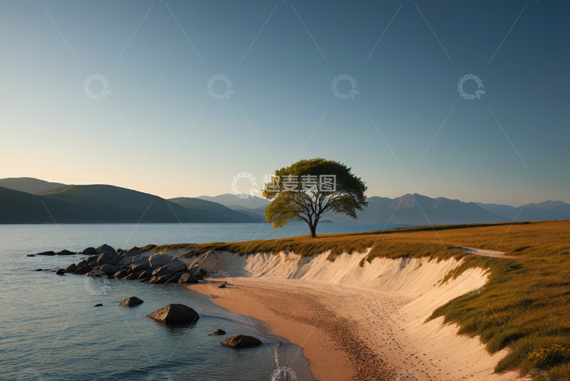 高清大图下载【趣麦麦图】湖边孤树自然风光景色