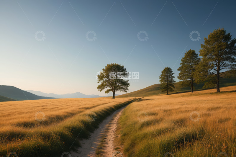 高清大图下载【趣麦麦图】草原小径与树木风景