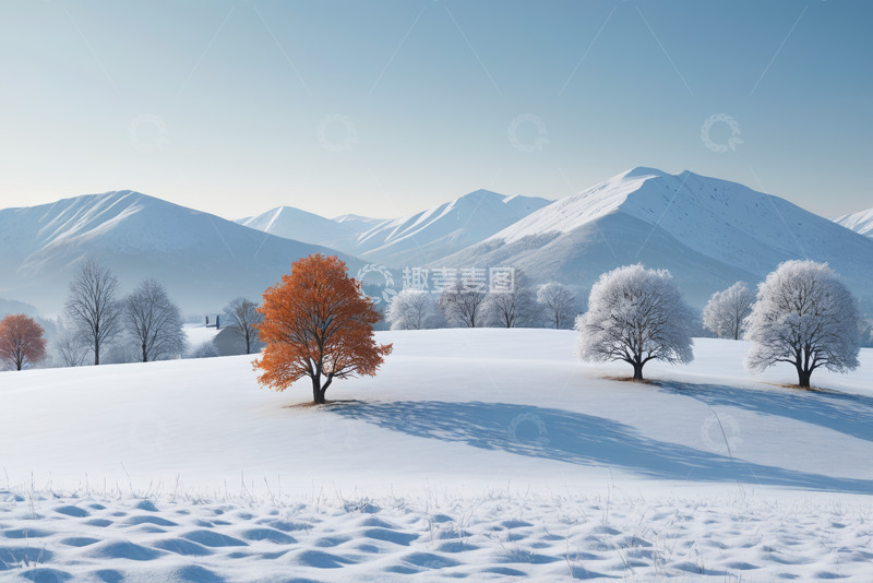 高清大图下载【趣麦麦图】冬日雪野中的多彩树木景观