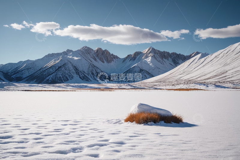 高清大图下载【趣麦麦图】雪山下的雪地与枯草景观