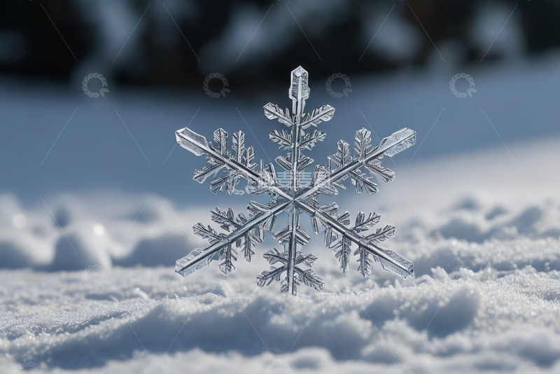 高清大图下载【趣麦麦图】特写雪花于雪地之上