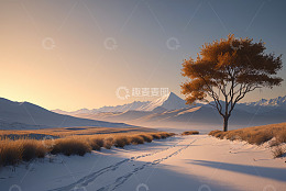雪地旷野中的孤树与远山景观
