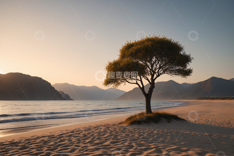 高清大图下载【趣麦麦图】海滩孤树自然风光