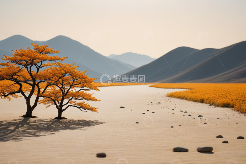 高清大图下载【趣麦麦图】旷野中的两棵金黄树木与远山