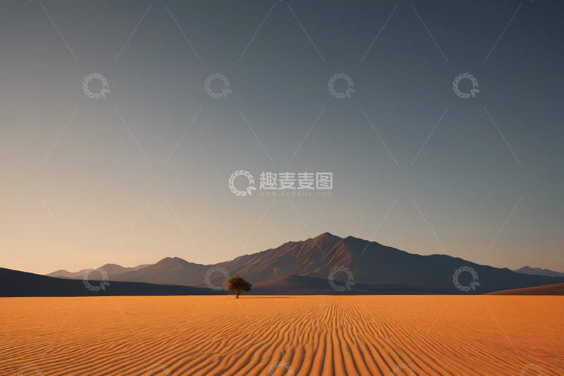 高清大图下载【趣麦麦图】沙漠中孤树与远山景观