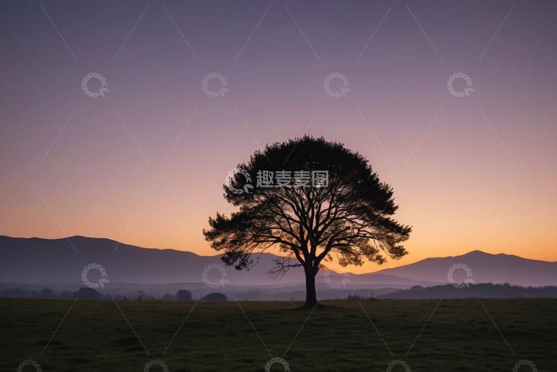高清大图下载【趣麦麦图】原野孤树与日落山景