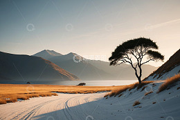 雪覆旷野单棵树与远山风景