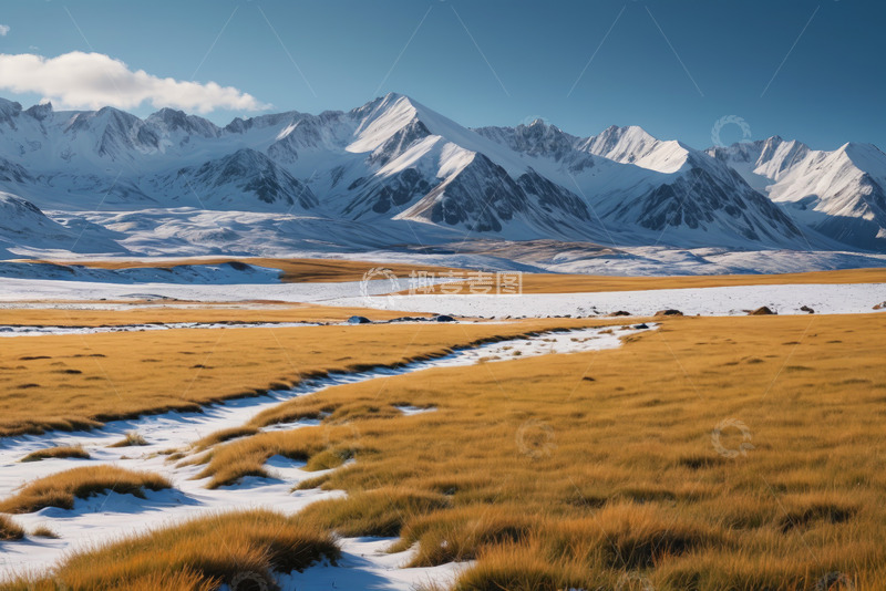 高清大图下载【趣麦麦图】雪山下的广袤草原风光