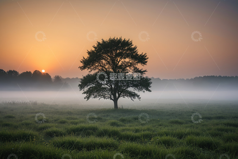 高清大图下载【趣麦麦图】田野中孤树与日出景象