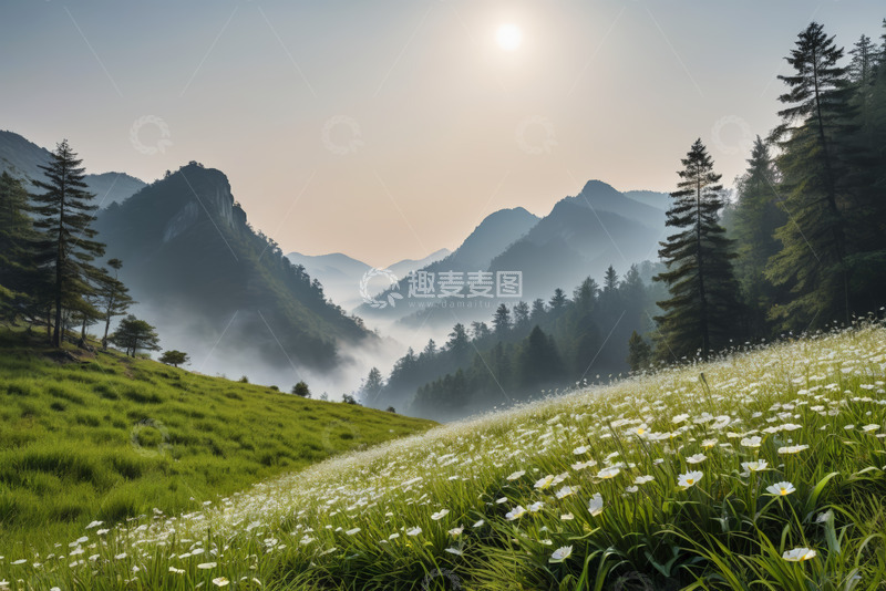 高清大图下载【趣麦麦图】山间草地花海自然风光