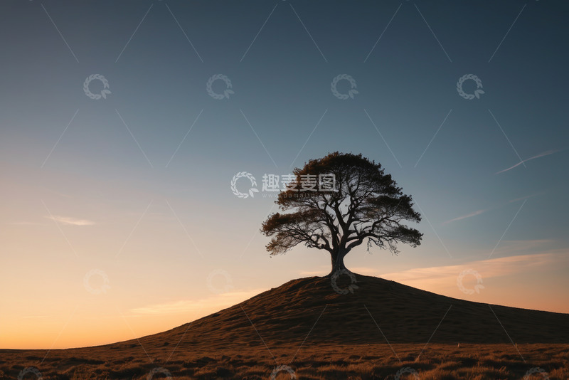 高清大图下载【趣麦麦图】山丘上孤独的树与黄昏天空