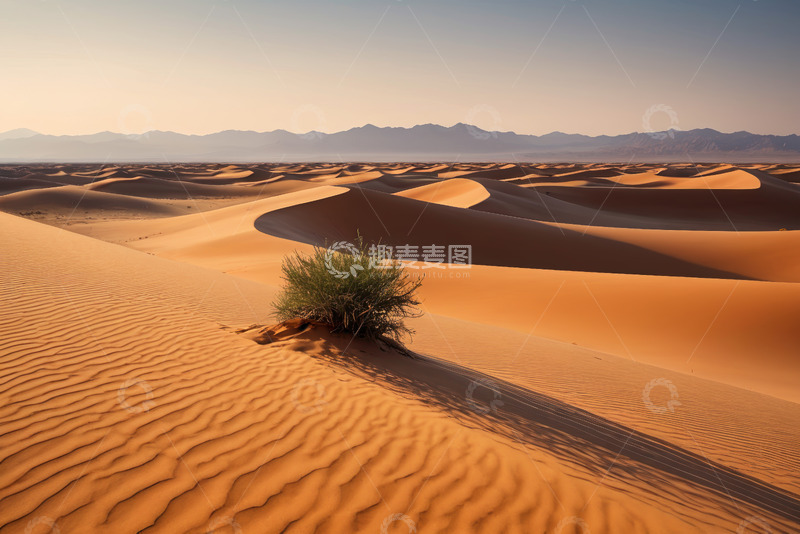 高清大图下载【趣麦麦图】沙漠中的绿色植被景观
