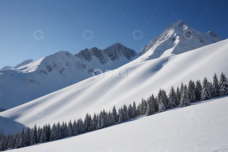 高清大图下载【趣麦麦图】雪山与雪松林自然风光