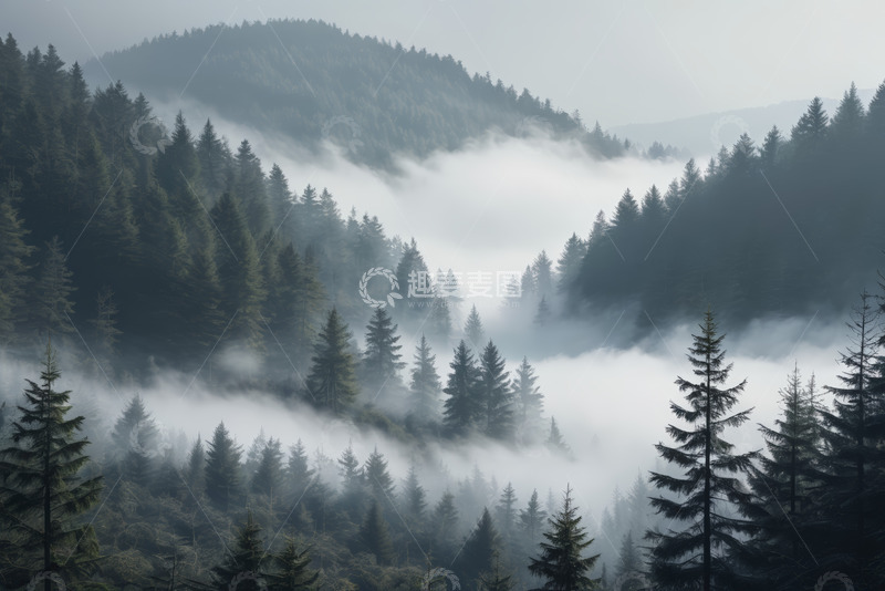 高清大图下载【趣麦麦图】山林间云雾缭绕的森林景观