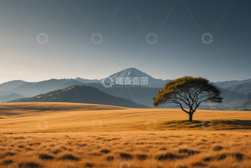 高清大图下载【趣麦麦图】草原孤树与远山自然景观