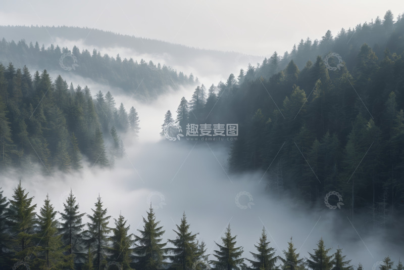 高清大图下载【趣麦麦图】山林间云雾缭绕的森林景观