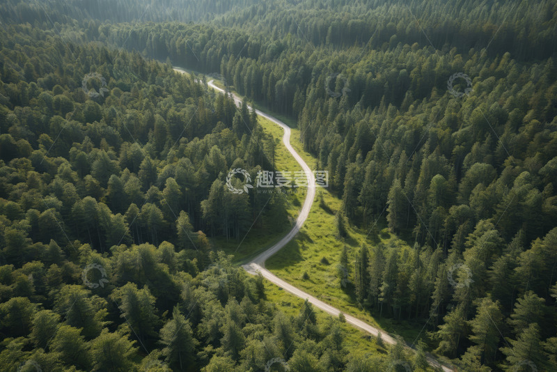高清大图下载【趣麦麦图】森林中蜿蜒的道路航拍图