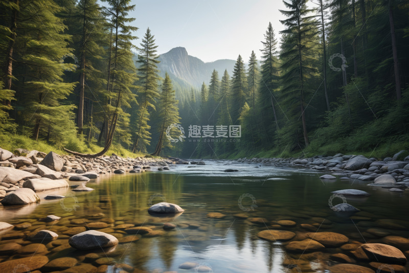 高清大图下载【趣麦麦图】森林河流自然风光