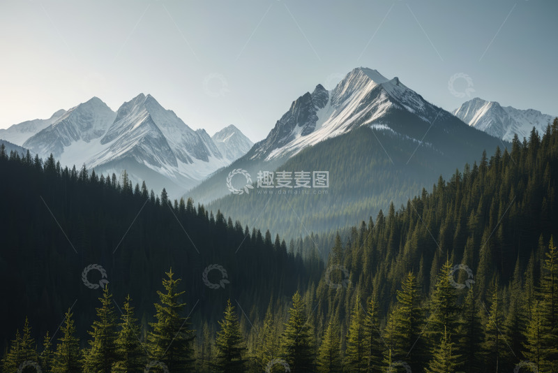 高清大图下载【趣麦麦图】雪山下的茂密森林景观