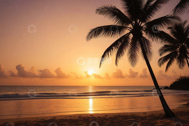 高清大图下载【趣麦麦图】海滩日落与棕榈树景观