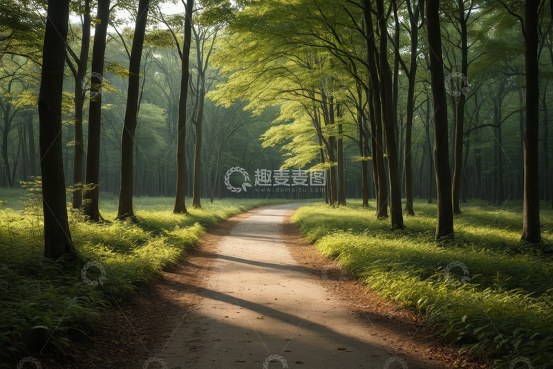 高清大图下载【趣麦麦图】林间小道自然风光