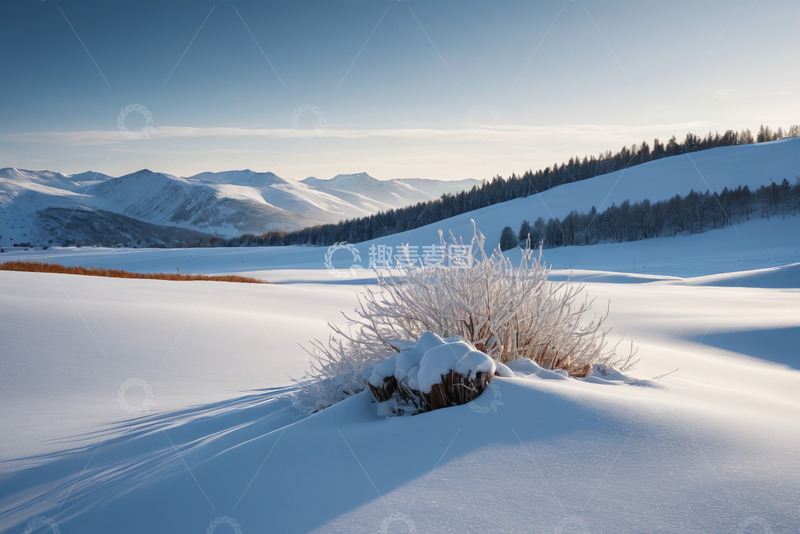 高清大图下载【趣麦麦图】冬日雪覆盖的山地与森林景观