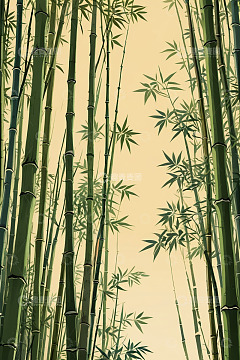 竹林风景背景素材