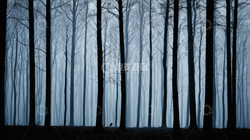 高清大图下载【趣麦麦图】雾中森林树木景观