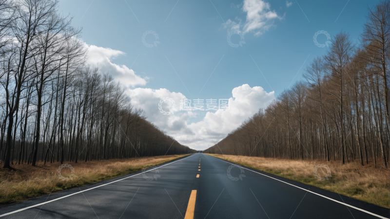 高清大图下载【趣麦麦图】开阔道路与两旁树林风景