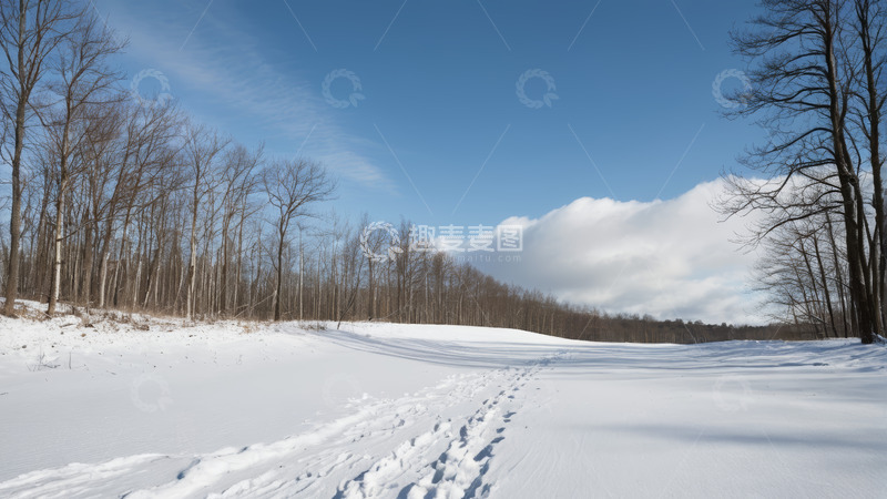 高清大图下载【趣麦麦图】冬日雪地森林全景