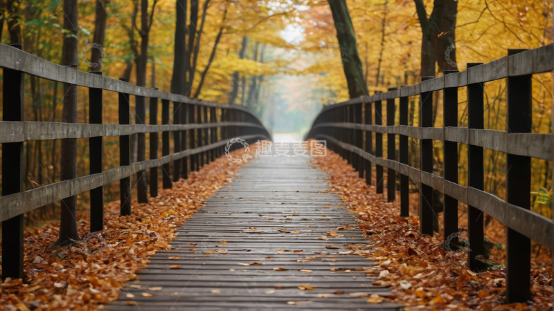 高清大图下载【趣麦麦图】秋日森林中的木质栈道