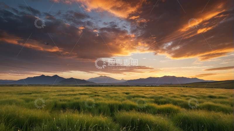 高清大图下载【趣麦麦图】草原日落时分的自然景观