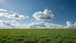 绿色草原与蓝天白云风景