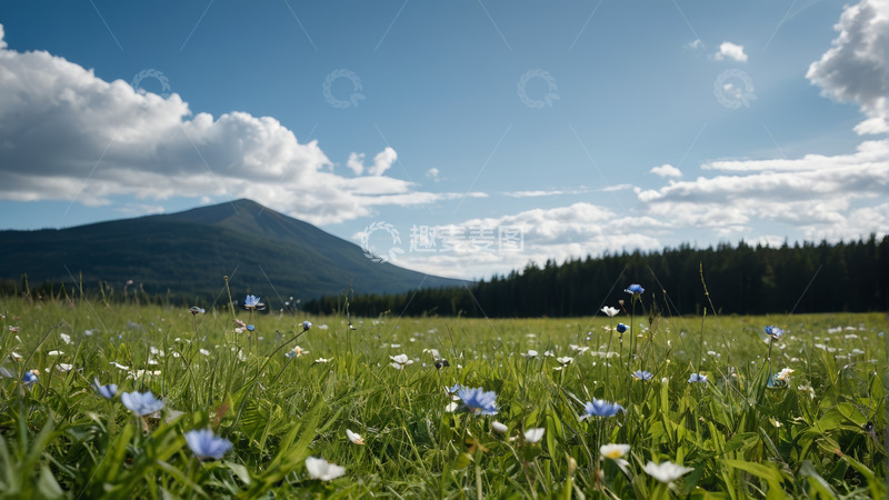高清大图下载【趣麦麦图】草原花海与远山风景