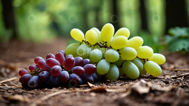 高清大图下载【趣麦麦图】地上摆放的两串葡萄