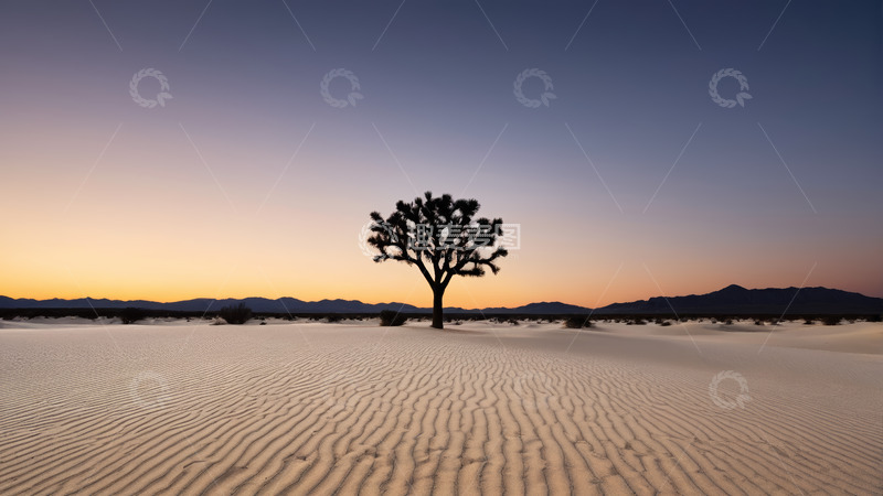 高清大图下载【趣麦麦图】沙漠中孤独的树木与日落景观