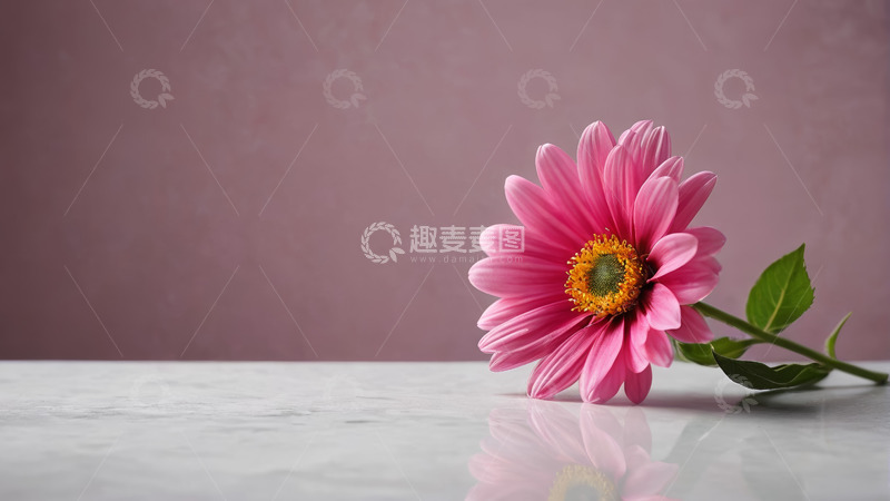 高清大图下载【趣麦麦图】粉色花朵置于浅色台面上