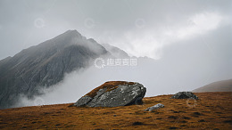 云雾缭绕的山间岩石景观